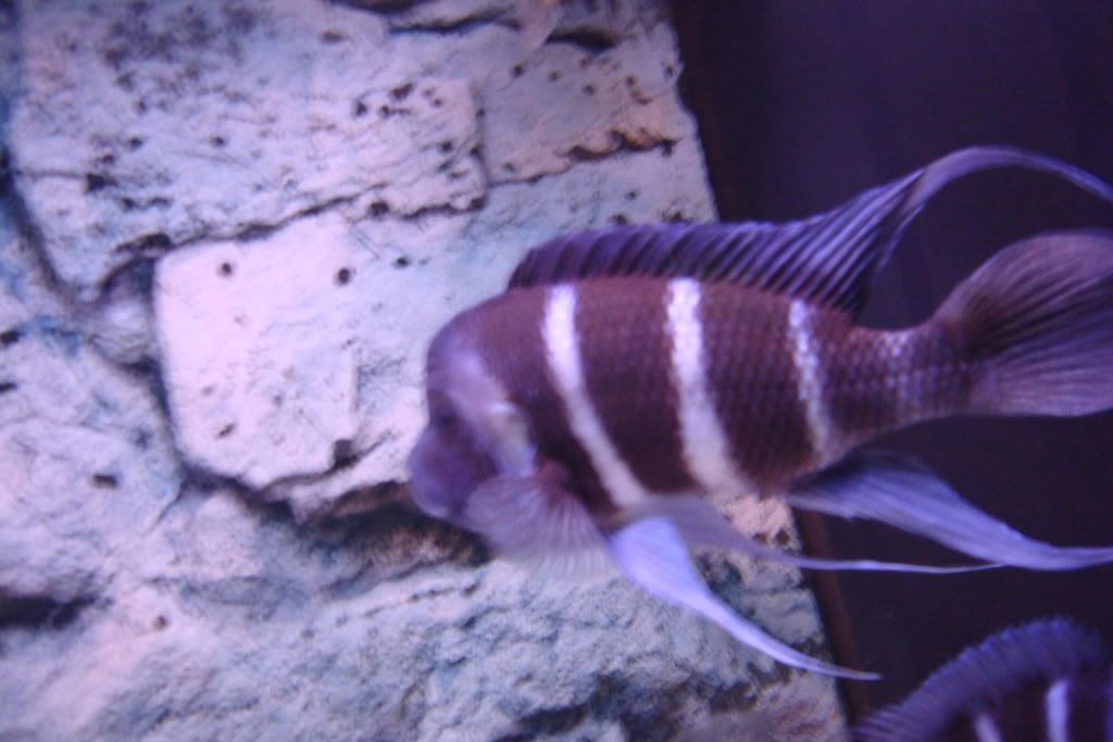 DSC00870.jpg