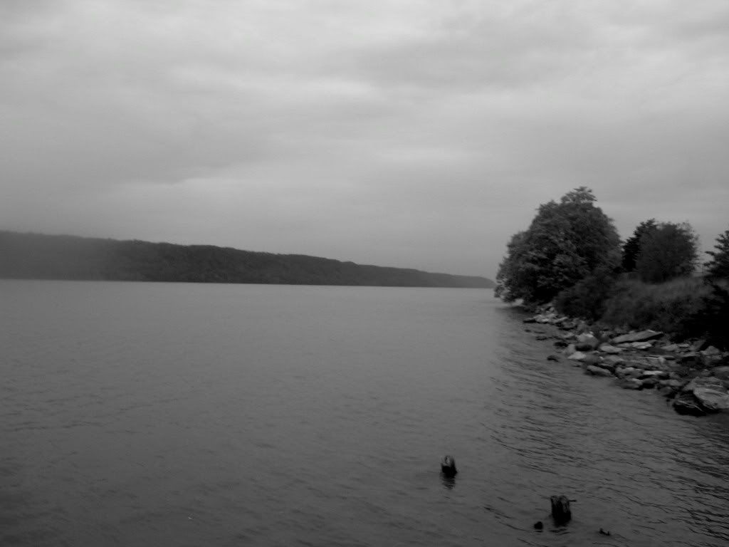 DSCN9383.jpg