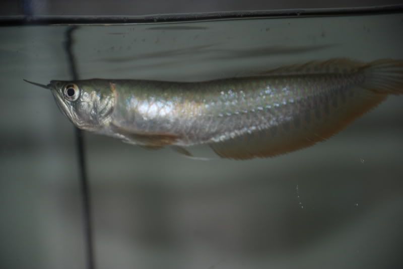 DSC_0051.jpg