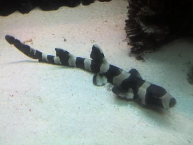 11-01-07_1637.jpg