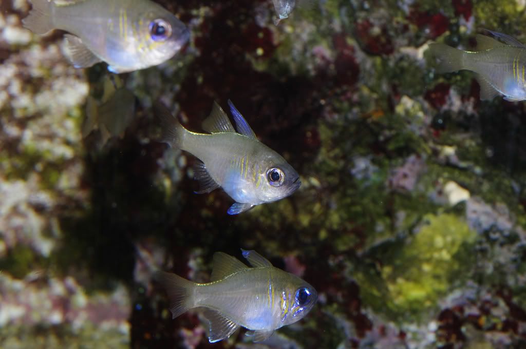 IGP3327.jpg