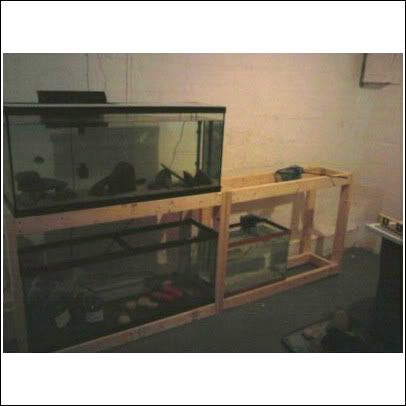 fishroom2.jpg