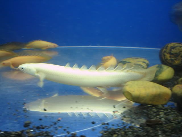 DSC08644.jpg