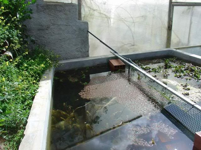 DSC00832.jpg