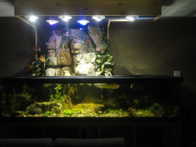 DSC05620.jpg