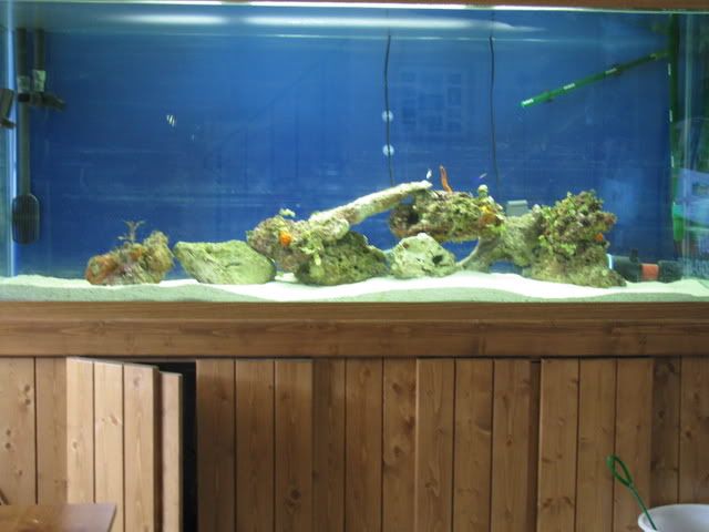IMG_0421.jpg