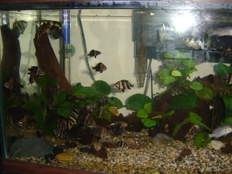 120gpt2014.jpg