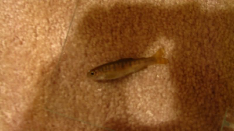 IMG_08052.jpg