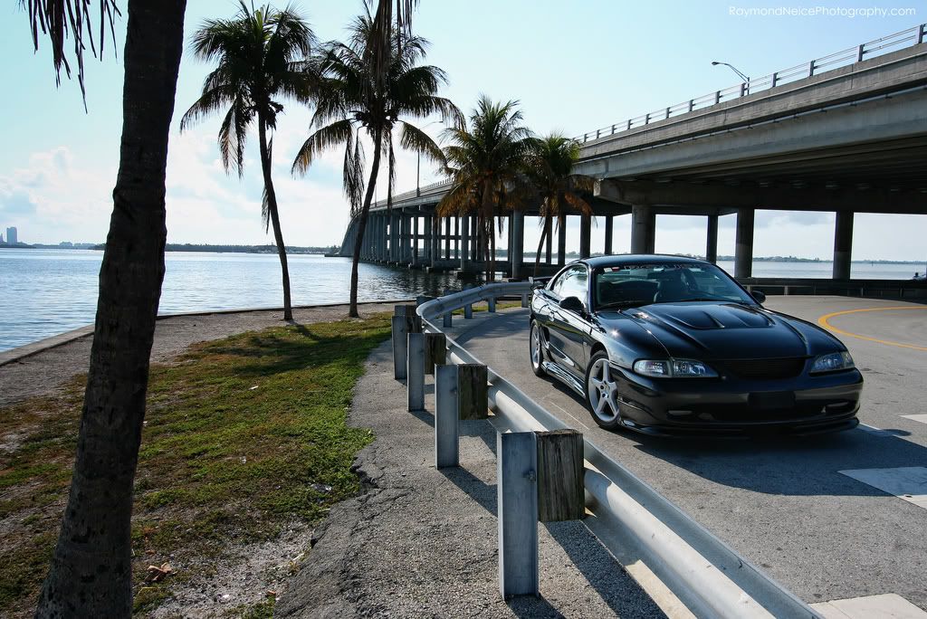 Roush6.jpg