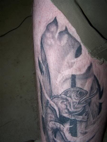 100_3402Medium.jpg