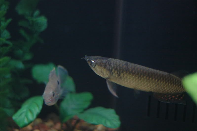 DSC_0962.jpg