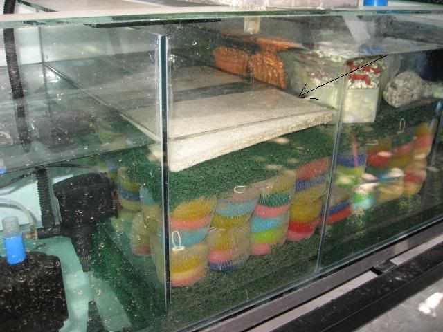 scrubber.jpg