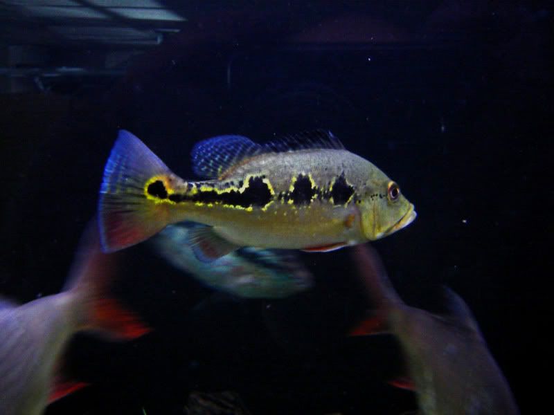 DSC07445.jpg