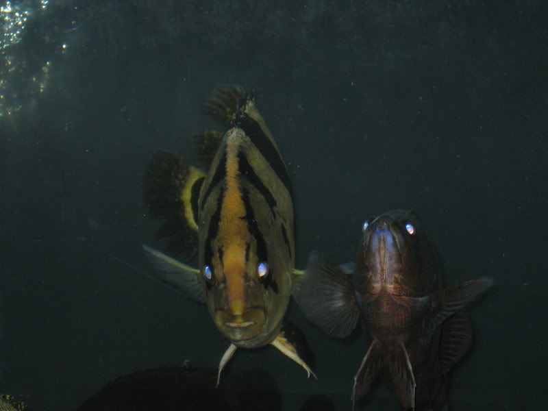 4-25-09036.jpg