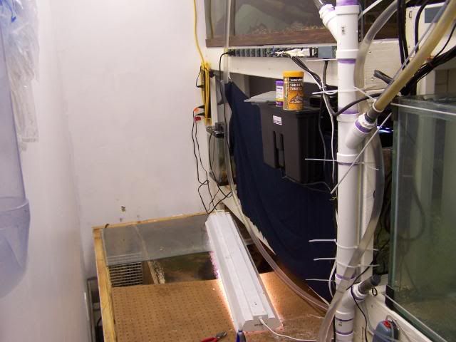 fishwall070.jpg