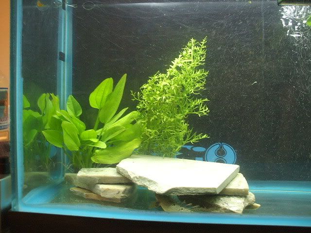DSCF0574.jpg