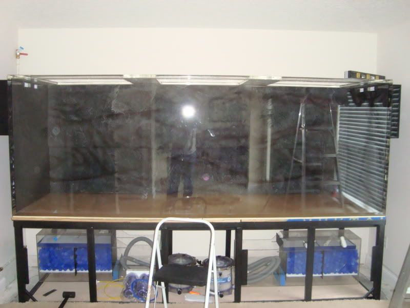 fishtankbuild2013.jpg