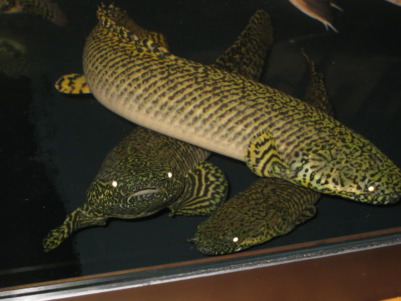 12-23-08043.jpg