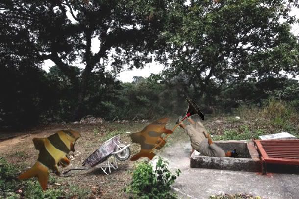 cemneo.jpg