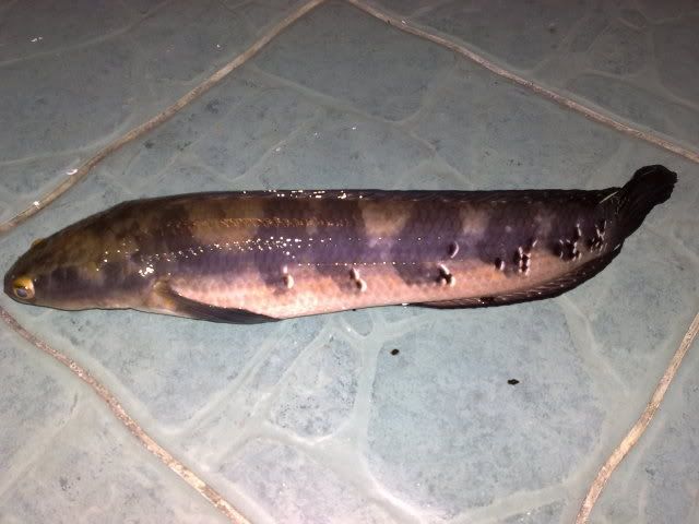29042010600.jpg