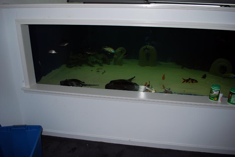 DSC_0252-small.jpg