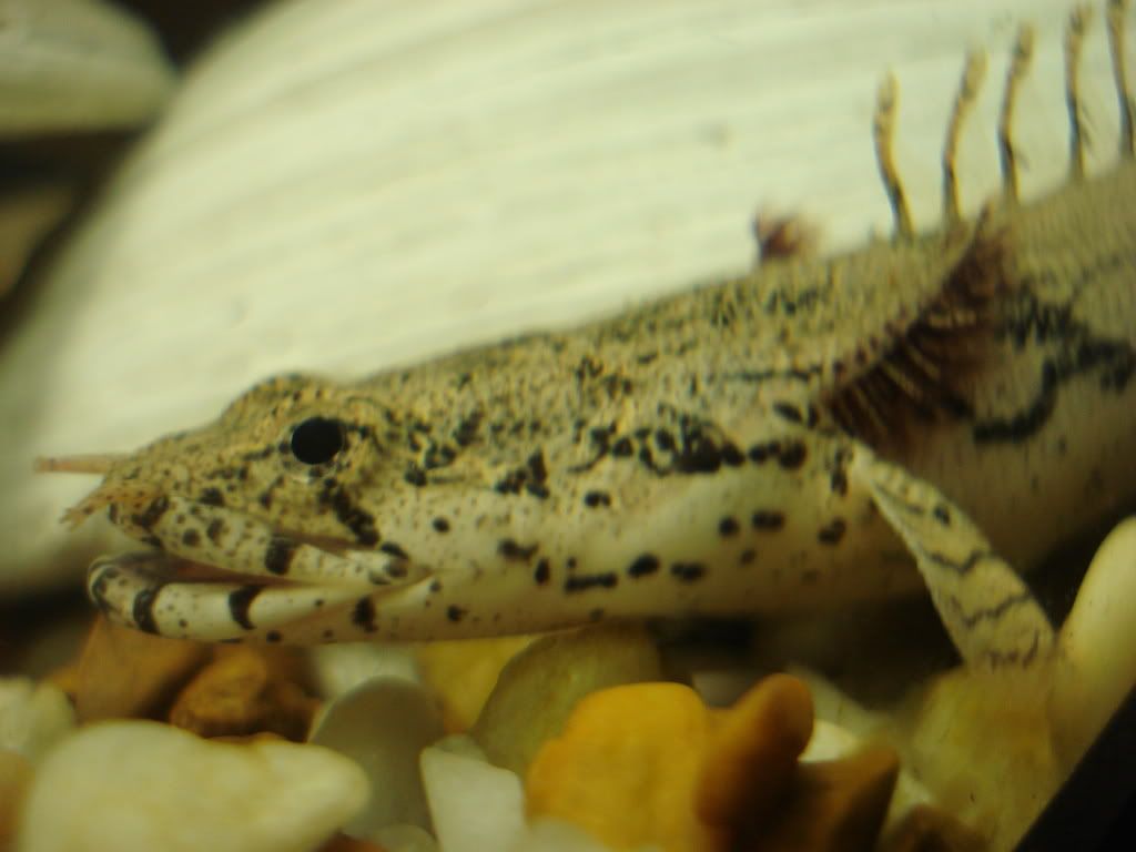 DSC02570.jpg