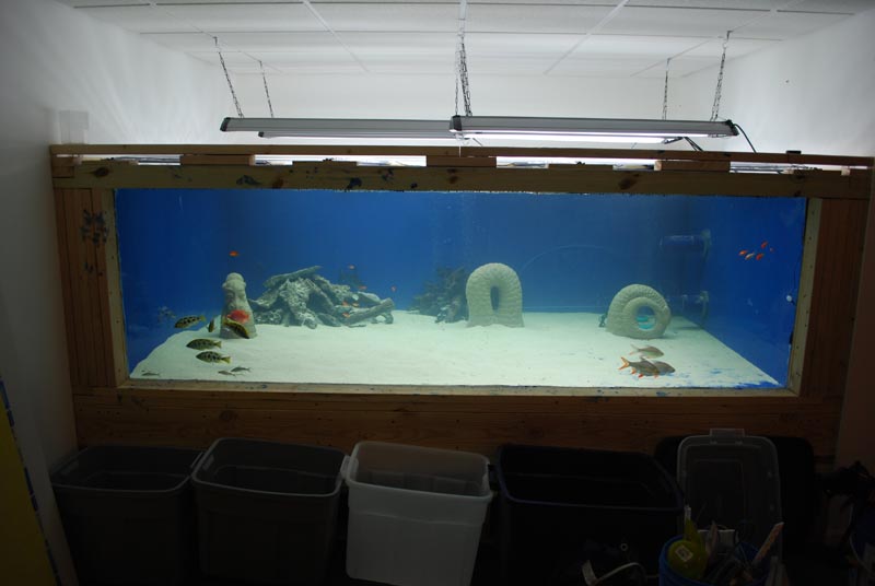 DSC_0215.JPG
