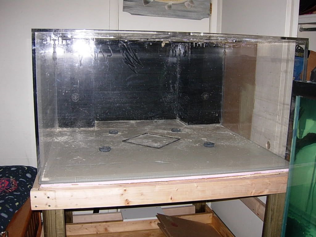 DSCN4984.jpg