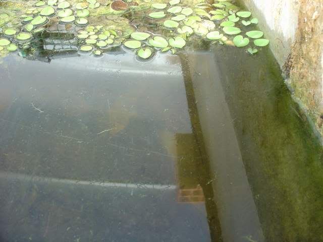 DSC04682.jpg
