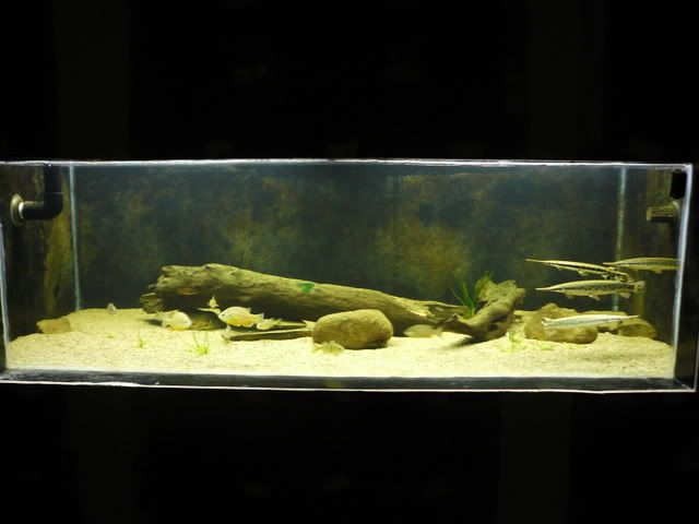 P1080352.jpg