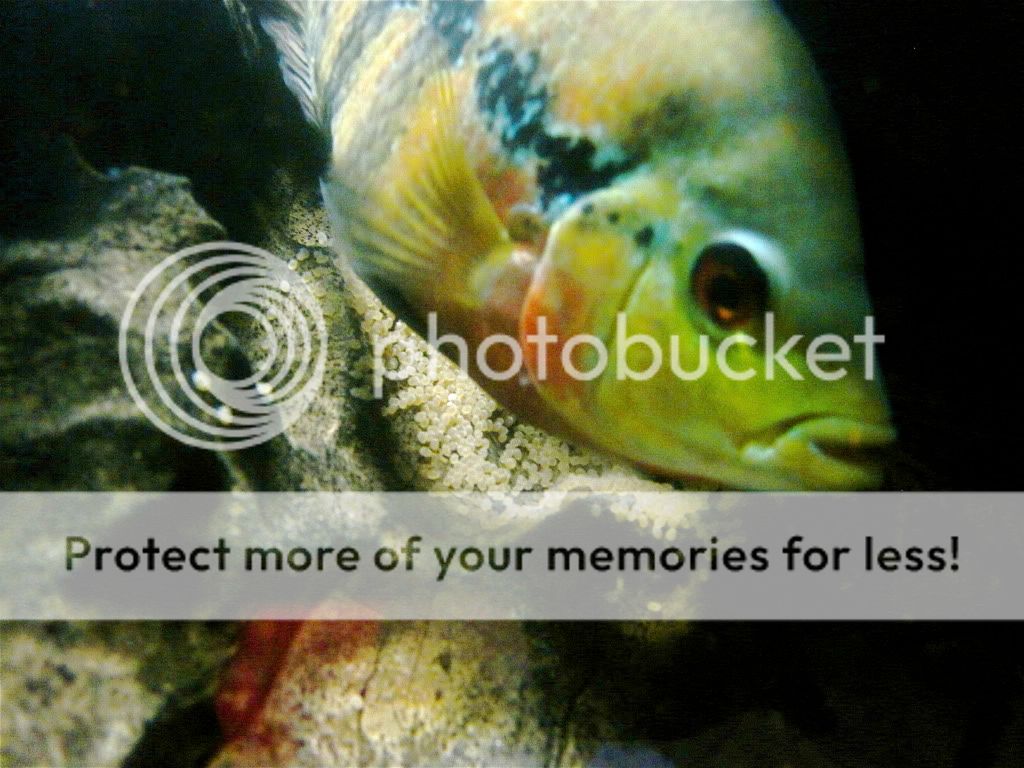 IMG_3577.jpg