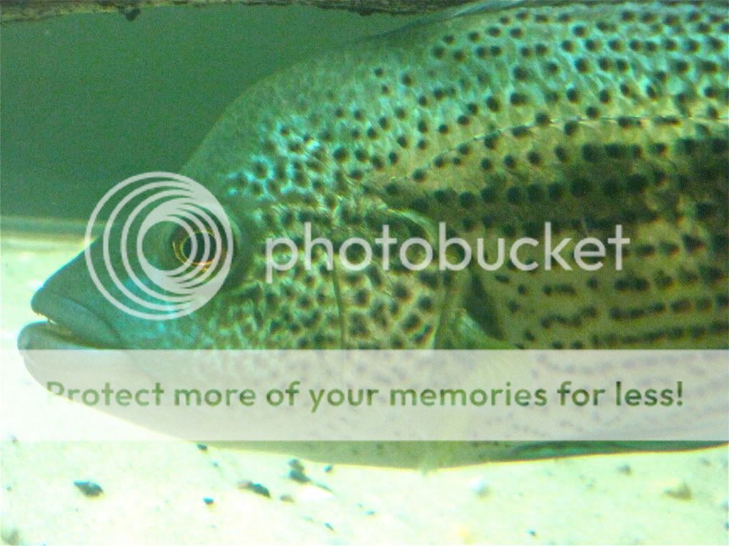 IMG_4066.jpg