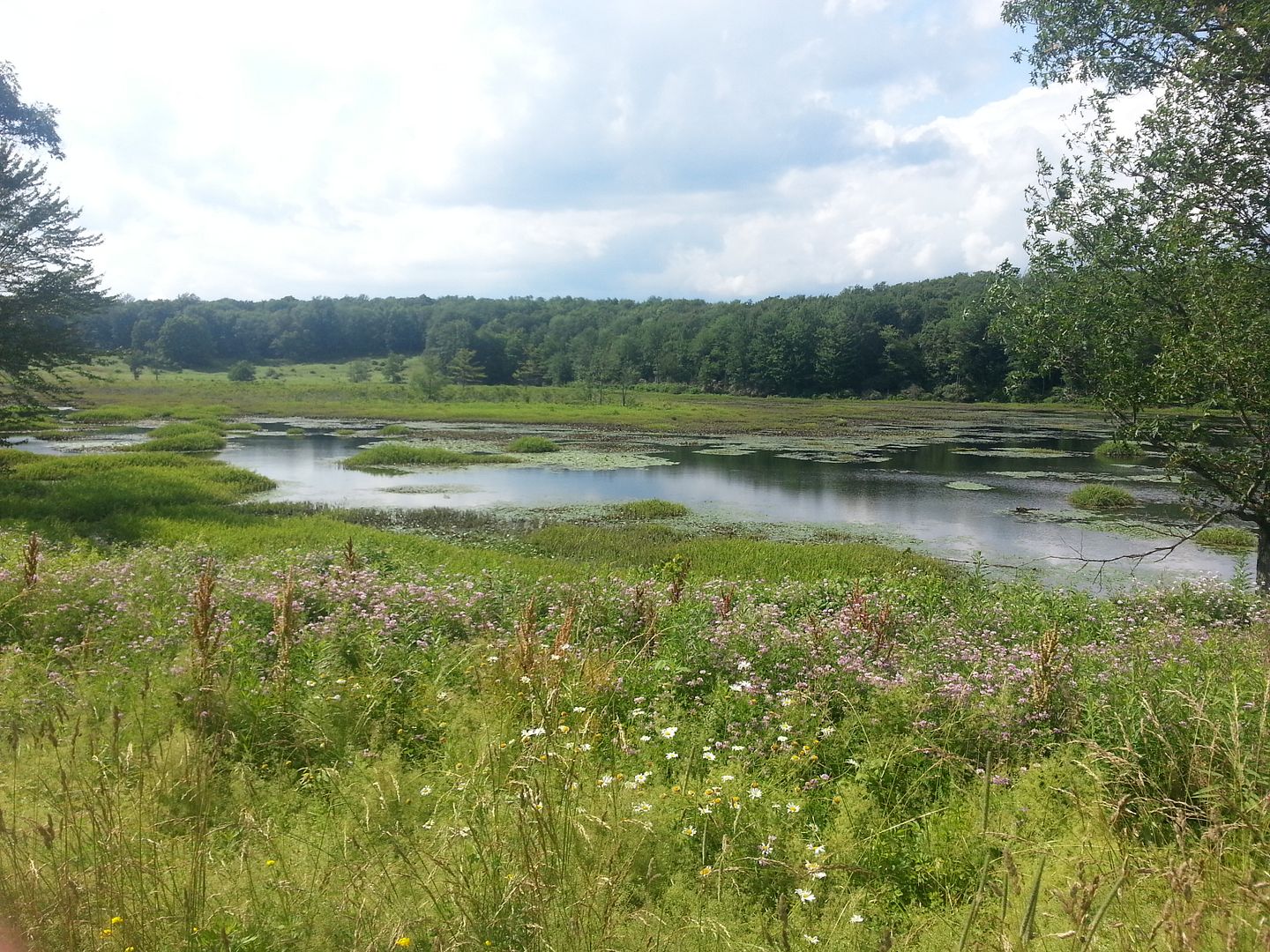 20130706_160323_zps89321508.jpg