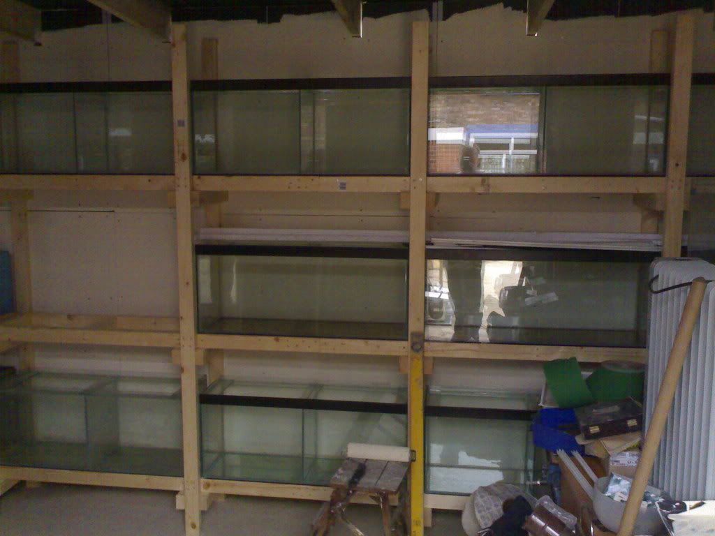 12102007506.jpg