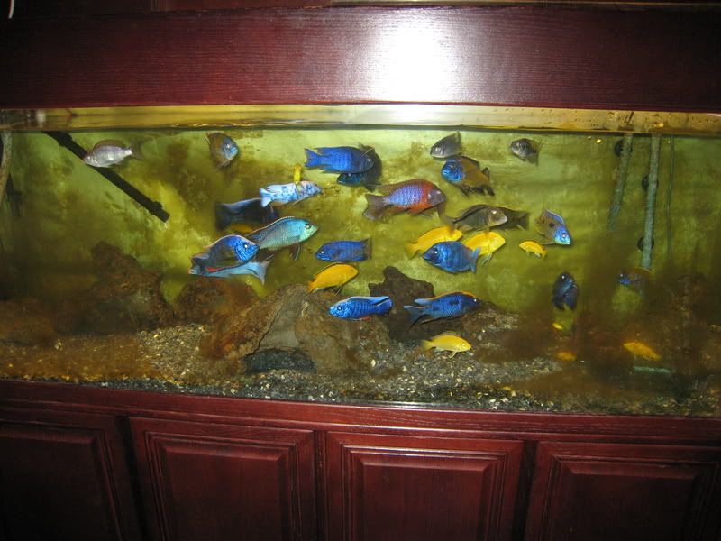 IMG_4147.jpg