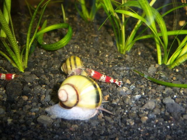 100_5411.jpg