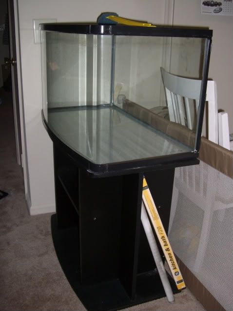 CIMG2684.jpg