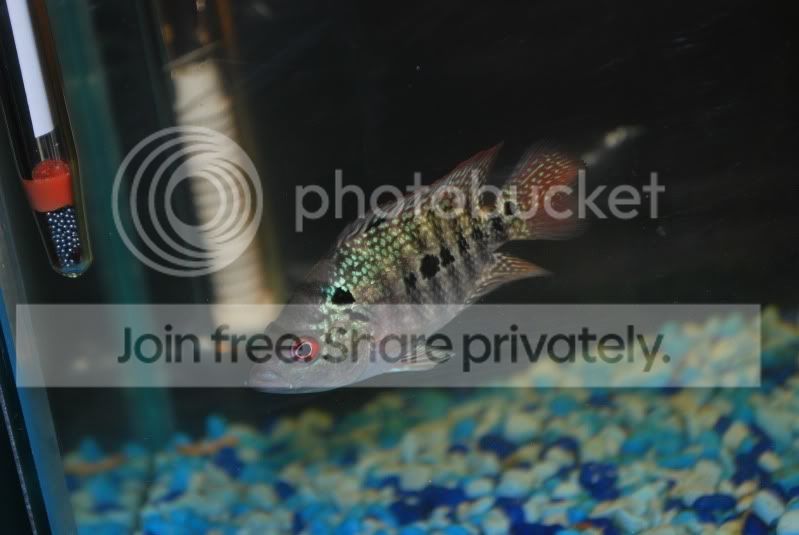 DSC_6528.jpg