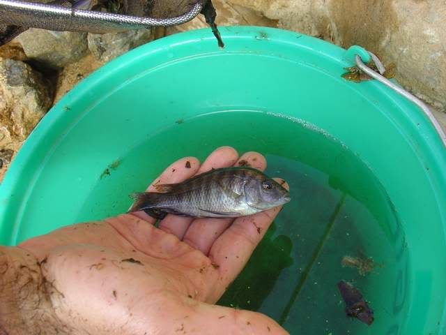 DSC04920.jpg