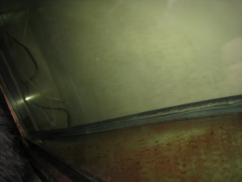 IMG_2518.jpg