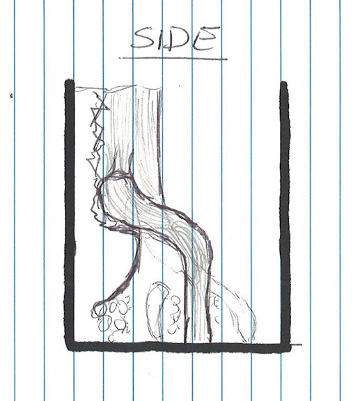 Sketch%20-%20Side.JPG