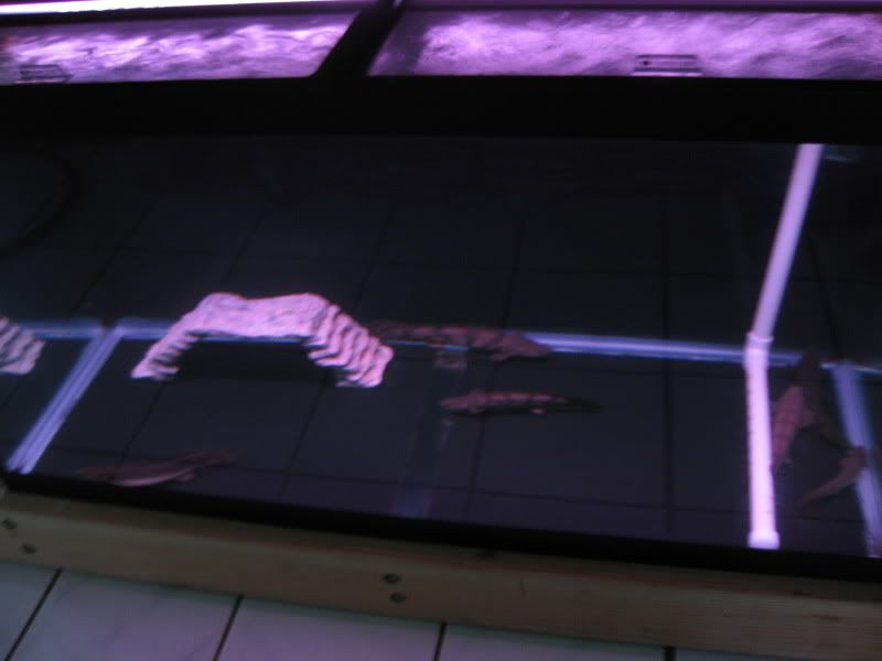 11-7-09015.jpg