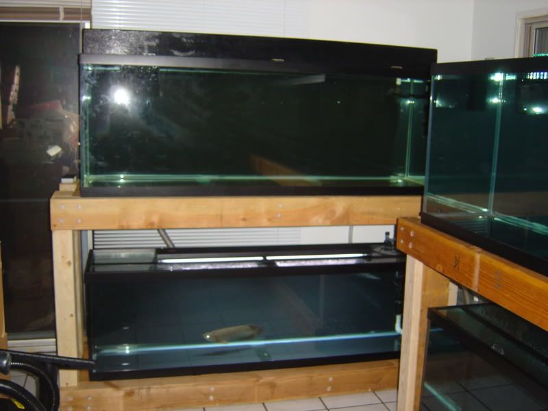 4-28-08003.jpg