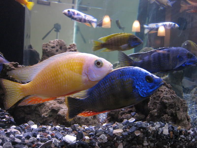 IMG_4358.jpg