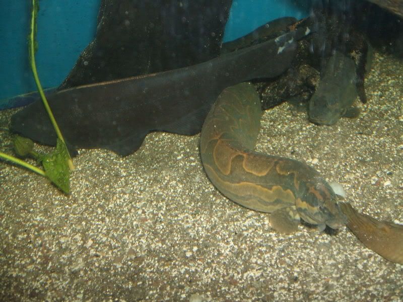 DSCF1553.jpg