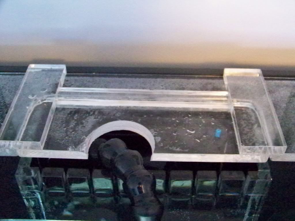 100_6852.jpg