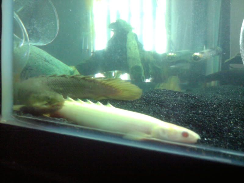 IMG_20110429_162553.jpg