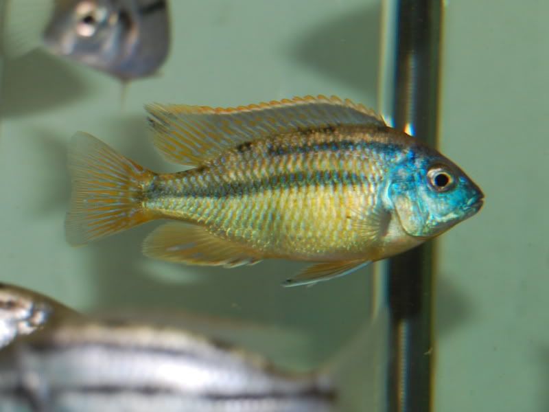 FebMar2008067.jpg