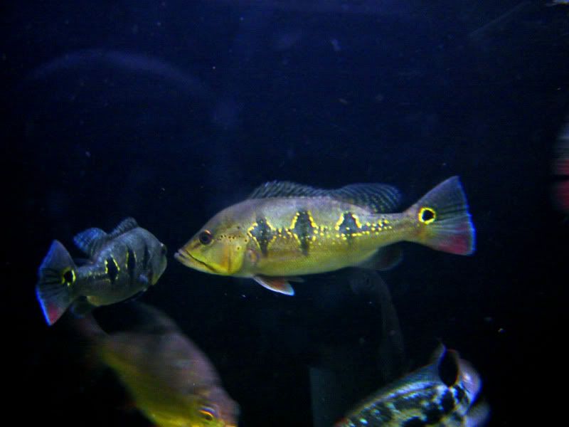 DSC07430.jpg