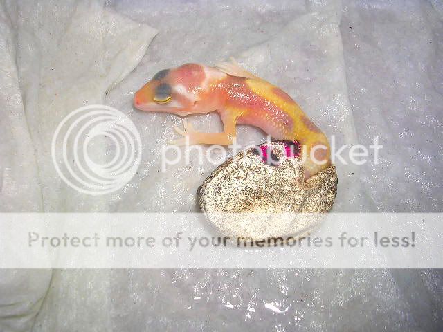 DSCN4917.jpg